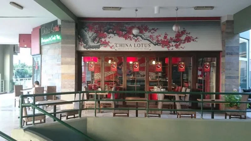 The 6 Best Chinese Restaurants in Istanbul