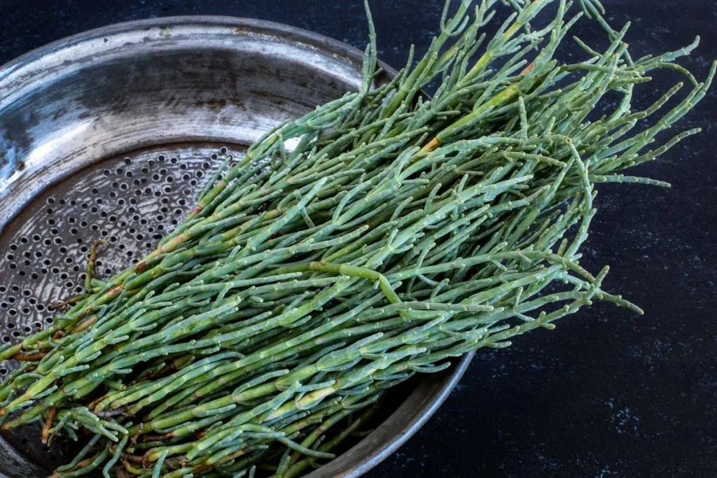 Vegetables and Olive Oil in Turkish Cuisine
