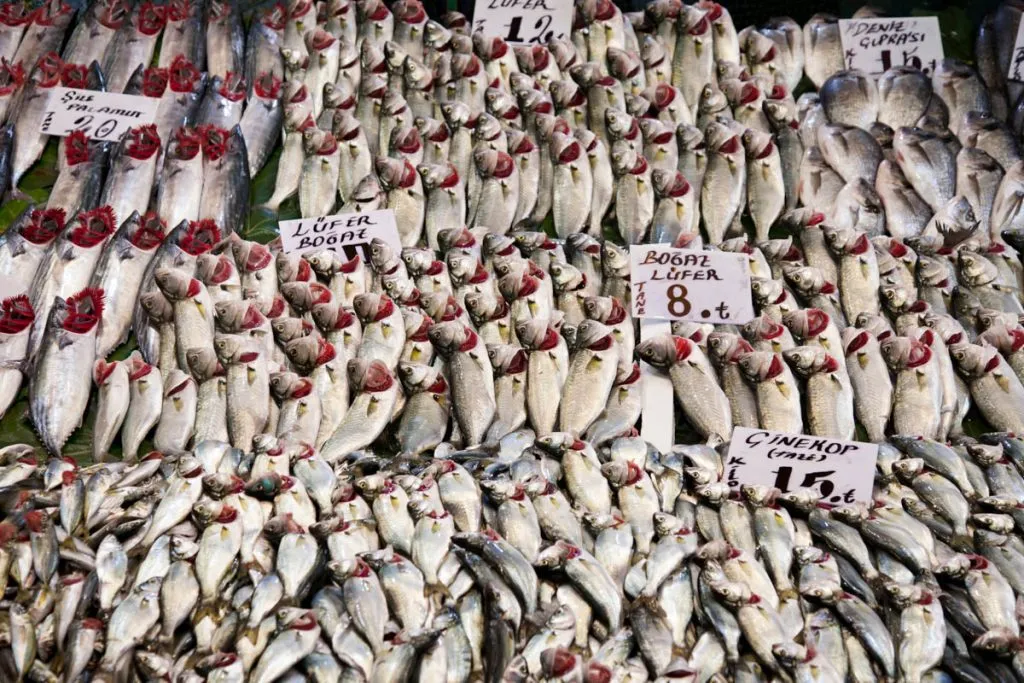 12 Absolute Best Seafood Restaurants in Istanbul