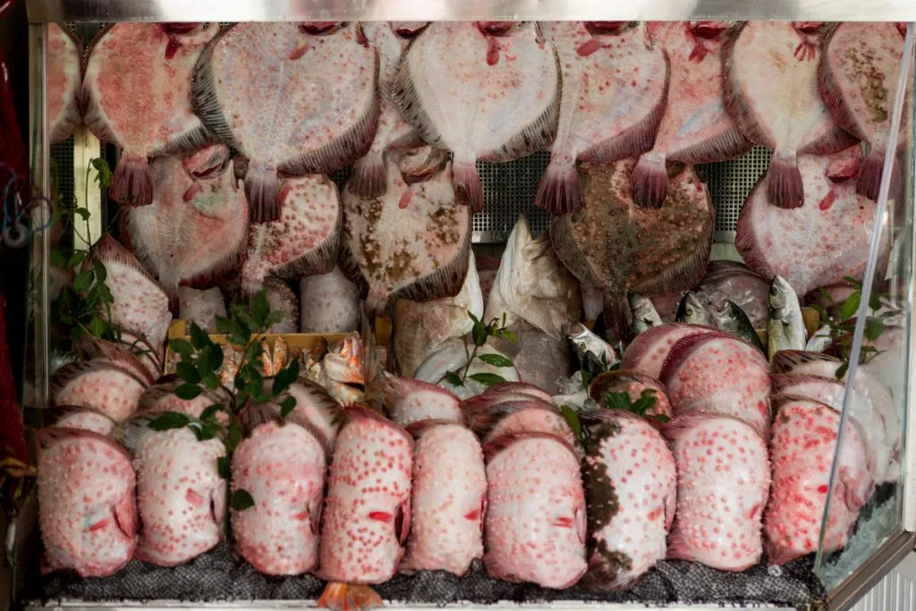 12 Absolute Best Seafood Restaurants in Istanbul