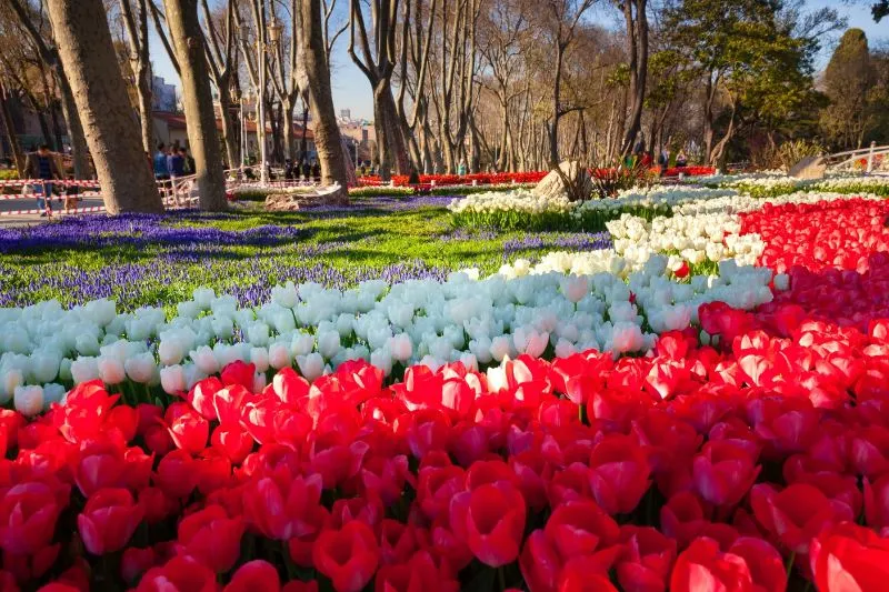 Tree-lined paths and flower beds in Gülhane Park, Istanbul