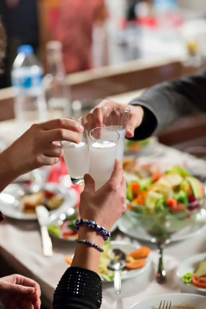 Turkish Raki | Complete Guide for Beginners