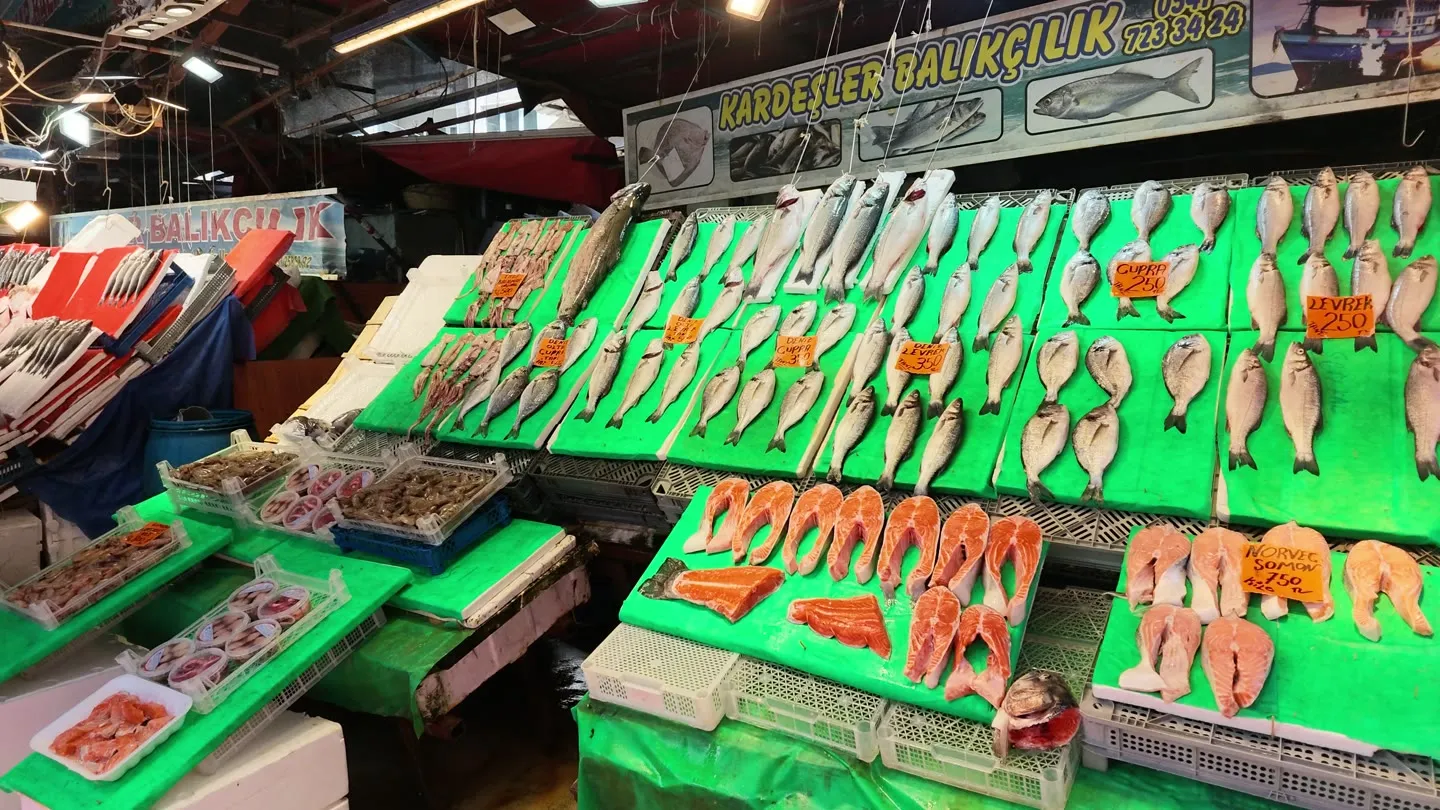 a Kadikoy market fish counter with sea bream, sea bass and salmon laid out on green trays with price cards