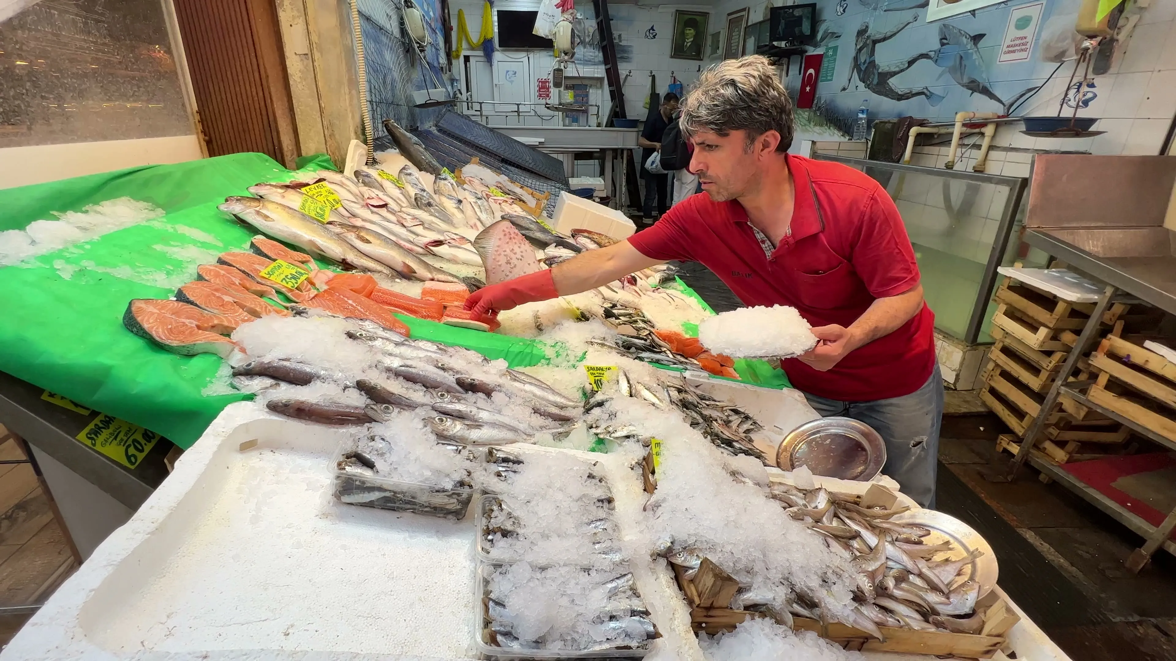 A fishmonger arranges whole fish and salmon cuts on a broad bed of ice