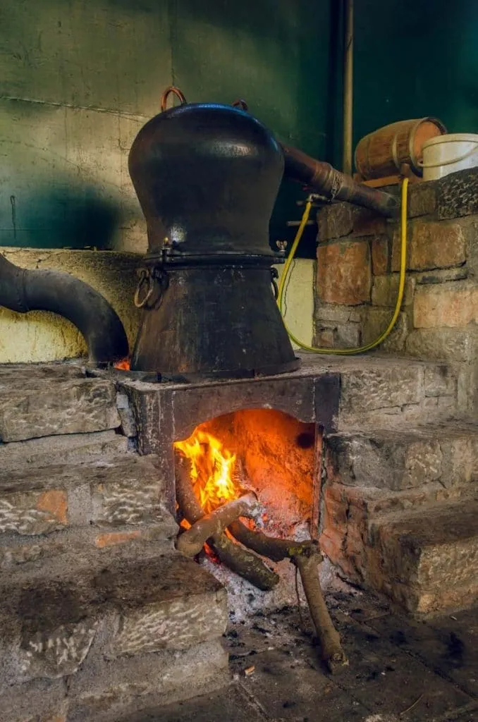 Turkish Raki | Complete Guide for Beginners