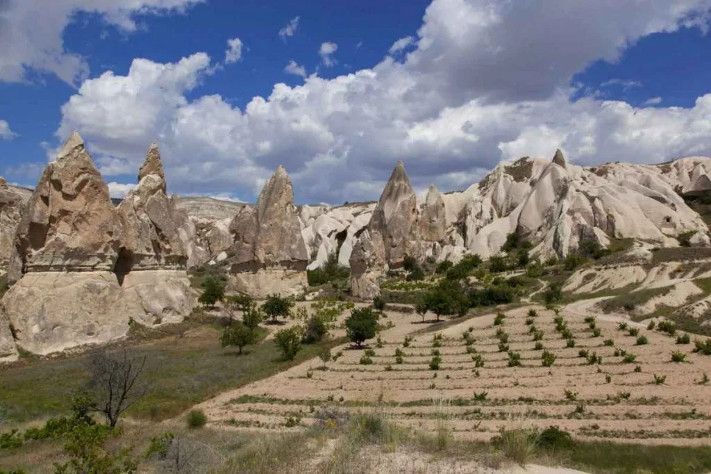 Cappadocia regions makes some of the best turkish wines